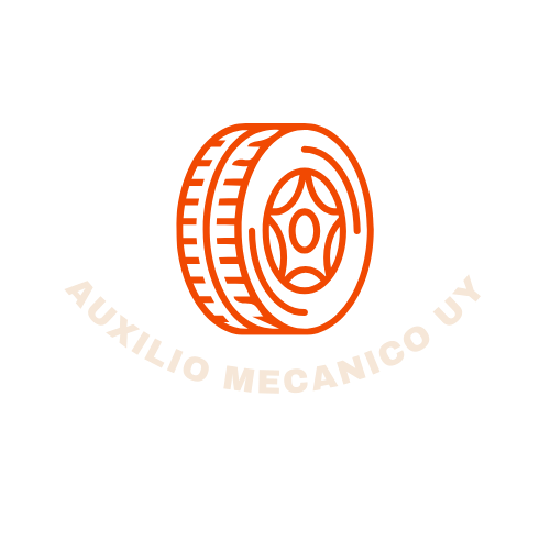 Ricardo Soto - Soporte Técnico